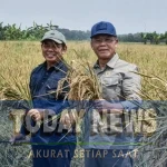 Utusan Khusus Presiden Bidang Ketahanan Pangan, Muhamad Mardiono.
