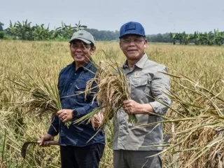Utusan Khusus Presiden Bidang Ketahanan Pangan, Muhamad Mardiono.