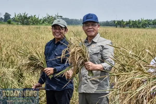 Utusan Khusus Presiden Bidang Ketahanan Pangan, Muhamad Mardiono.