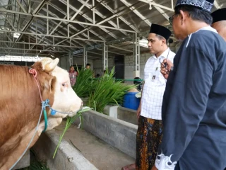 RPH Halal Diharapkan Bisa Tumbuhkan Ekosistem Produk Halal
