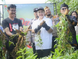 28fd88e1-ecb8-41be-b9c8-21832fcc4b00