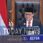 SAVE_20251104_104148