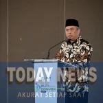 SAVE_20251115_104234