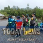 SAVE_20251128_171627