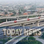 Screenshot_20251102_102410_Instagram