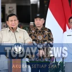 WhatsApp Image 2025-11-04 at 15.25.24