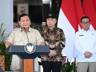 WhatsApp Image 2025-11-04 at 15.25.24