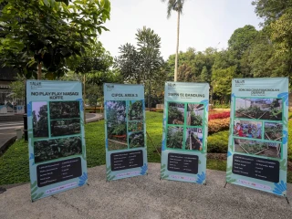 Talun Baladahan Mikro: Hutan Mini untuk Pulihkan Ekosistem Kota