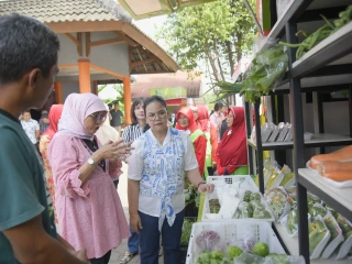 Target 177 Koperasi Merah Putih, Pemkot Semarang Bangun Ekosistem Pangan Berkelanjutan