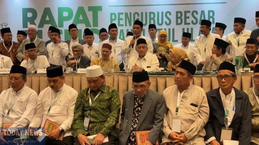 1001541987_1765297746