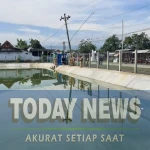 2f872aa0-ca8b-4c56-a7cb-ae309f055a2f