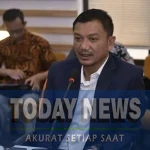 images - 2025-12-19T111346.717