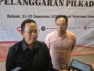 Anggota Bawaslu RI, Puadi.