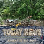 SAVE_20251201_083411