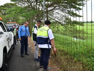 SAVE_20251217_105735