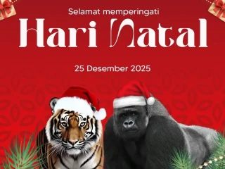 Screenshot_20251225_180805_Instagram