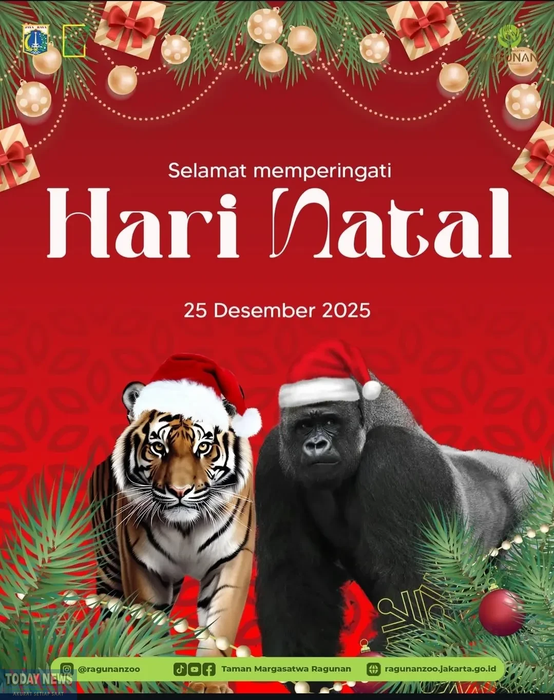 Screenshot_20251225_180805_Instagram