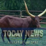 Screenshot_20251231_114408_Instagram