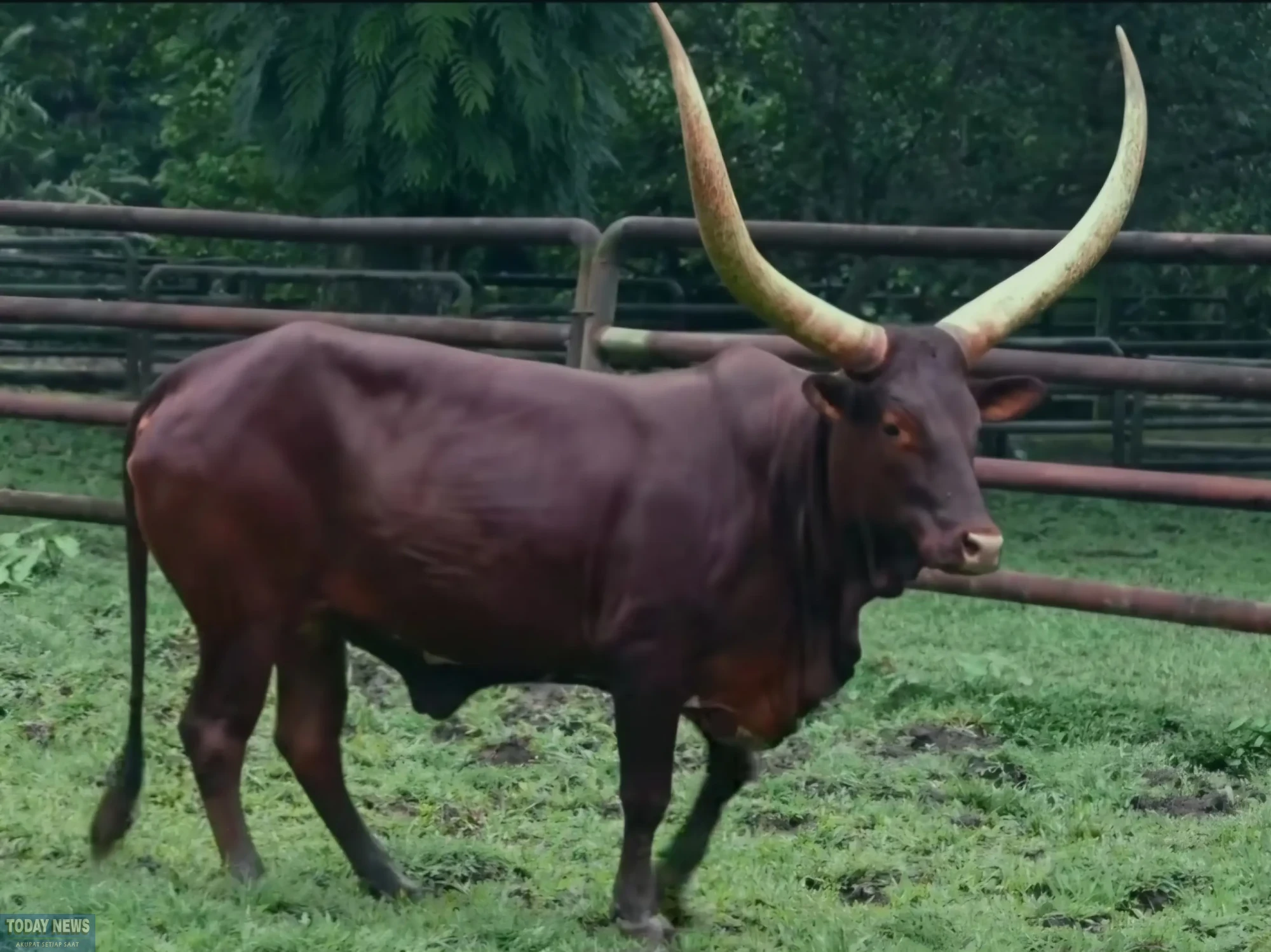 Screenshot_20251231_114408_Instagram