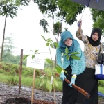 2c838cd2-1be0-402b-84f1-751f609055f4