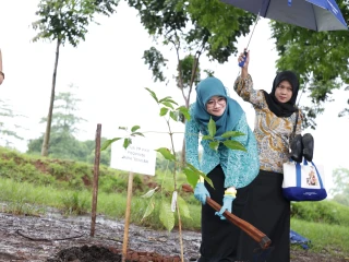 2c838cd2-1be0-402b-84f1-751f609055f4