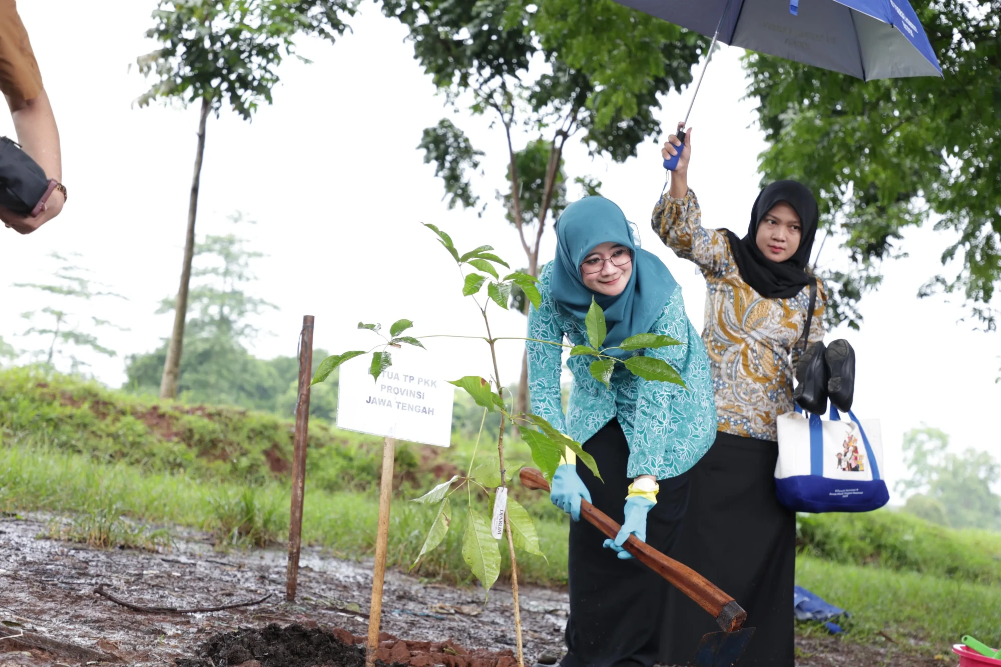 2c838cd2-1be0-402b-84f1-751f609055f4