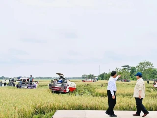 FB_IMG_1767843242430