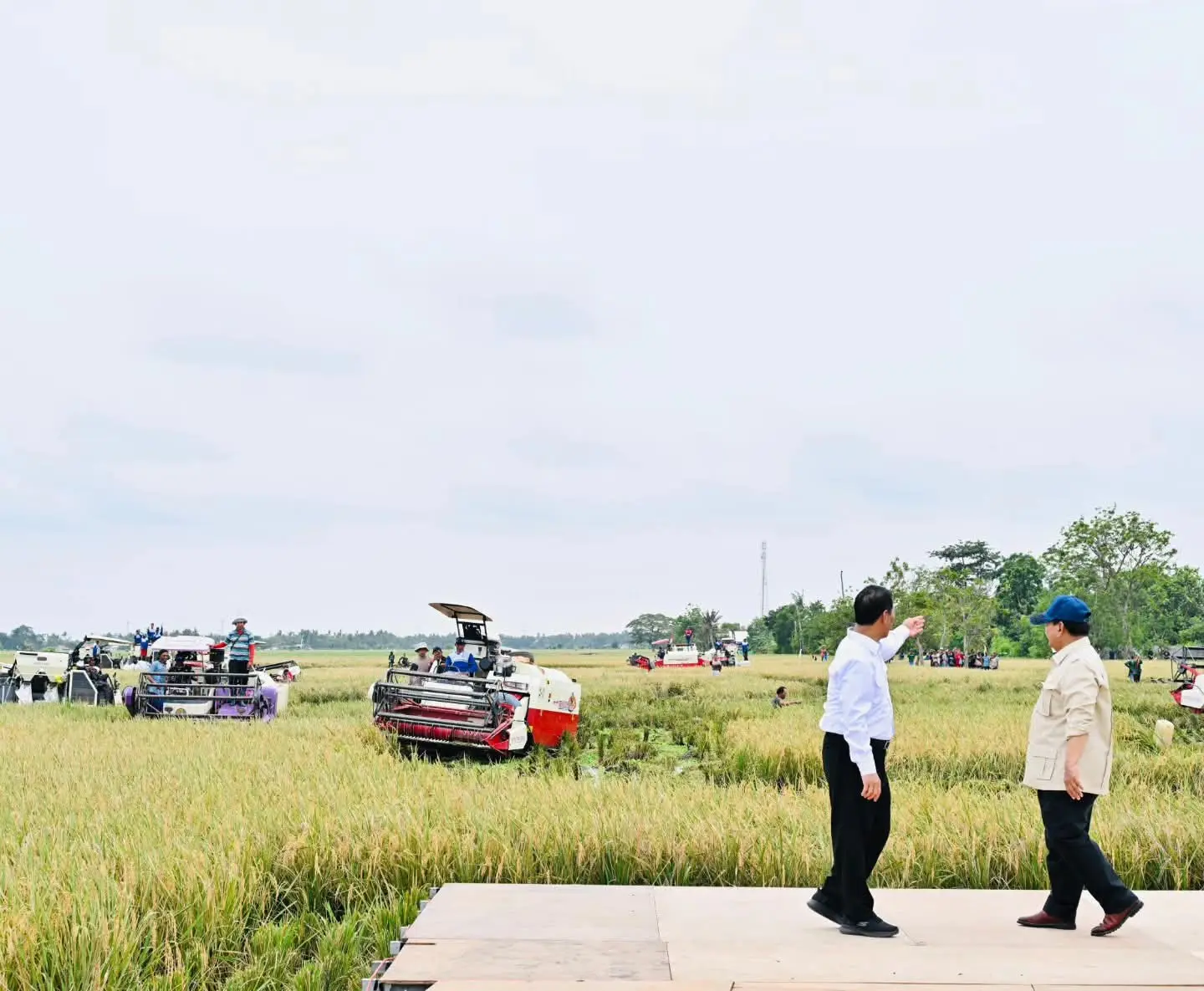 FB_IMG_1767843242430