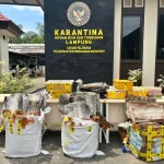 FB_IMG_1769760290137