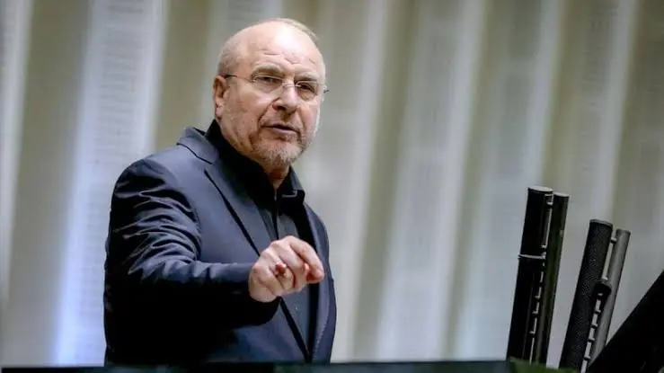 images - 2026-01-12T134627.013