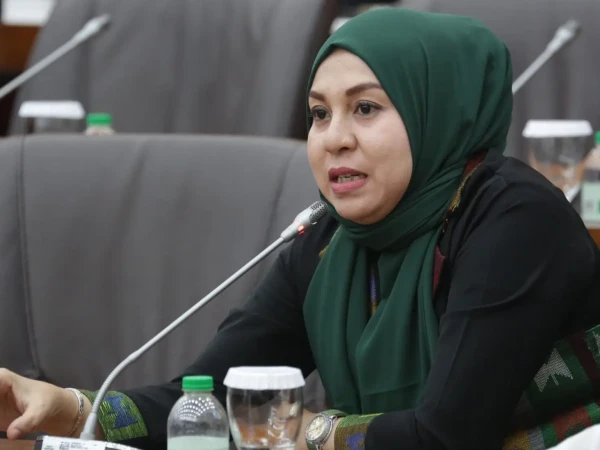 Kelas Menengah-Bawah Rentan Jatuh ke Jurang Kemiskinan