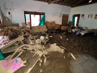 SAVE_20260117_112558