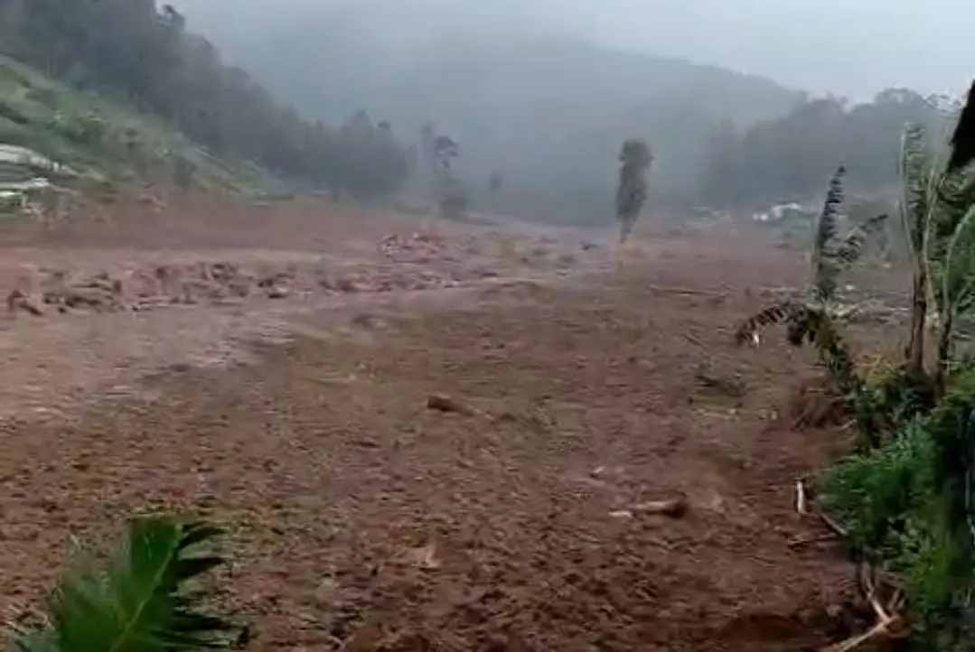 SAVE_20260124_160004