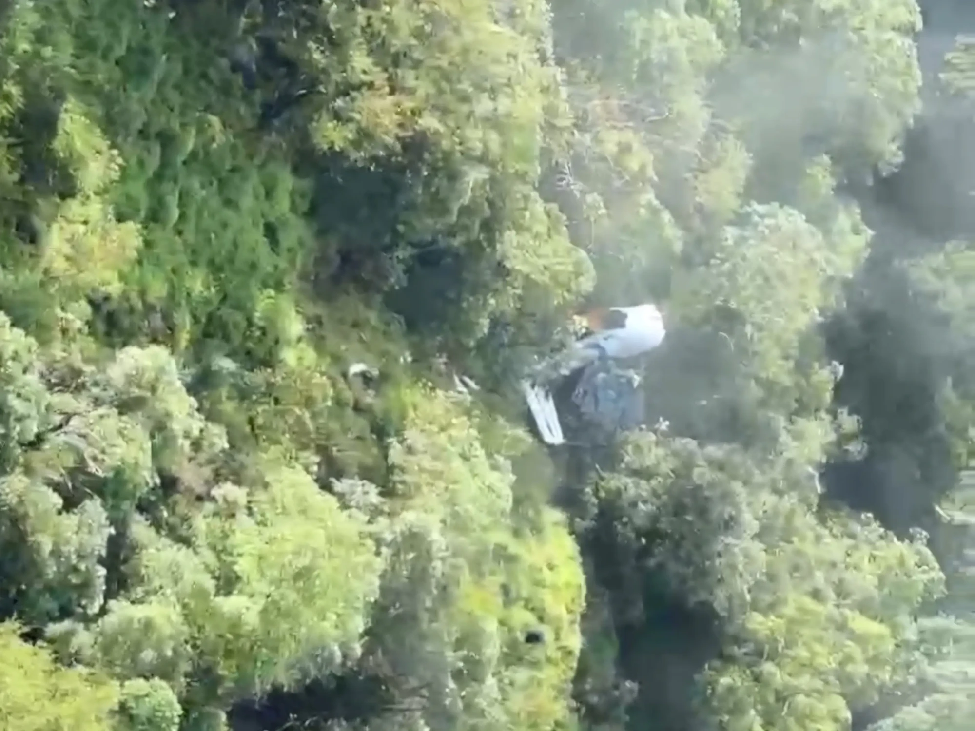 VideoCapture_20260118-114128