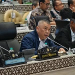 WhatsApp Image 2026-01-28 at 11.19.19