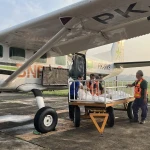 WhatsApp Image 2026-01-28 at 11.19.51