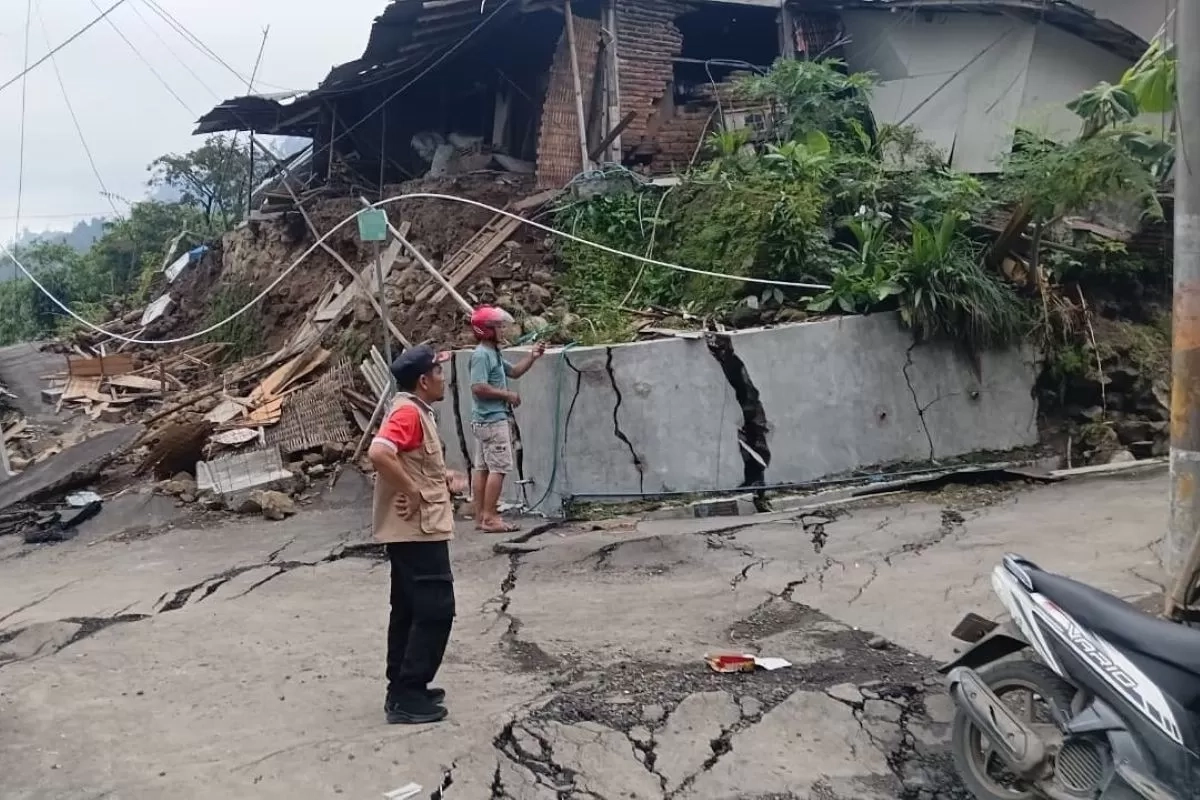 31d0acf5-1a3a-40d1-bd70-392ae25635d0-1945662597