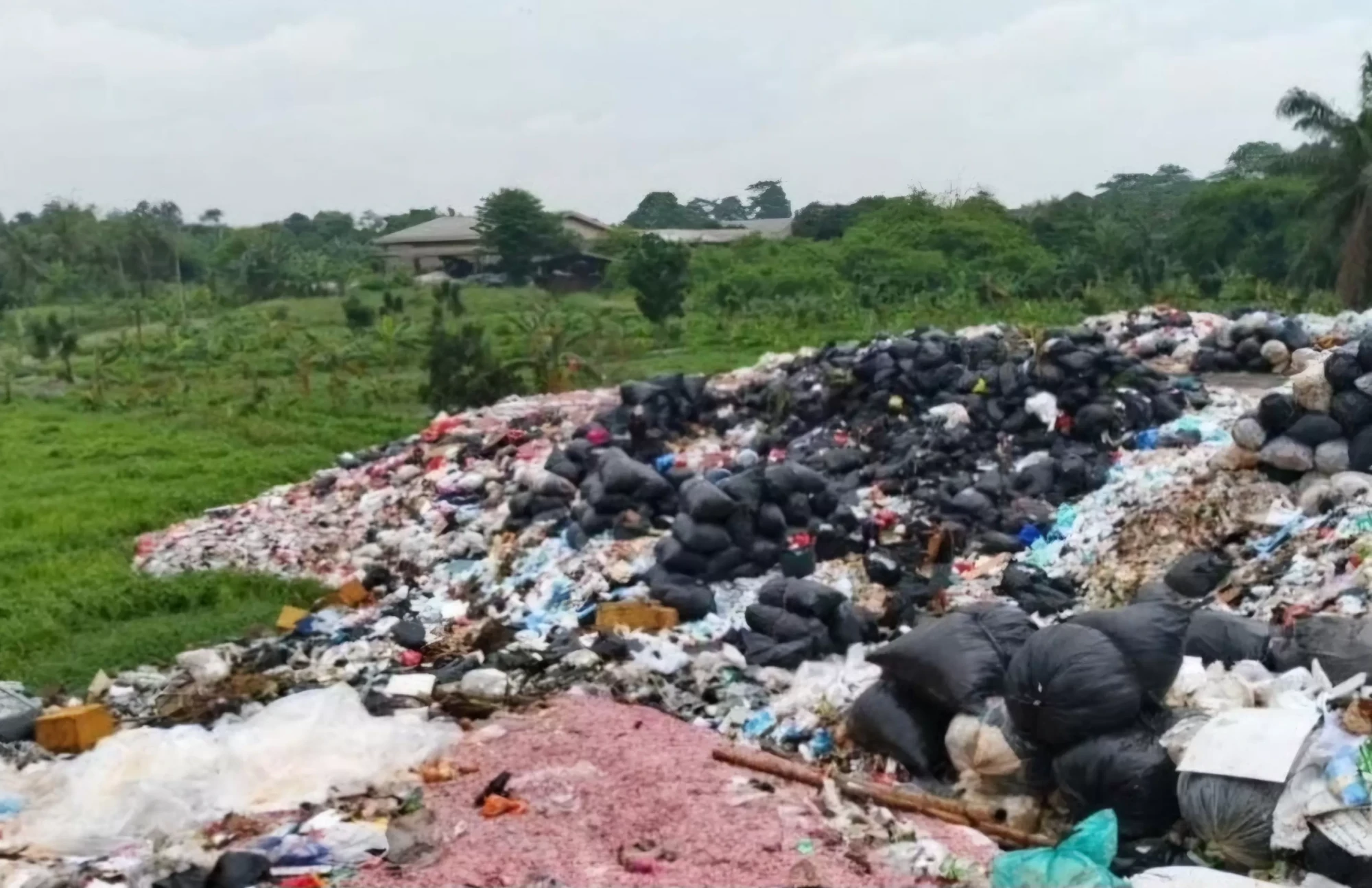 9e940209-5b7e-4720-8757-59c54c074958-626201079