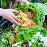 Mendagri Dorong Pengelolaan Sampah Terintegrasi dari Hulu hingga Hilir