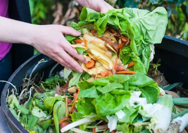 Mendagri Dorong Pengelolaan Sampah Terintegrasi dari Hulu hingga Hilir