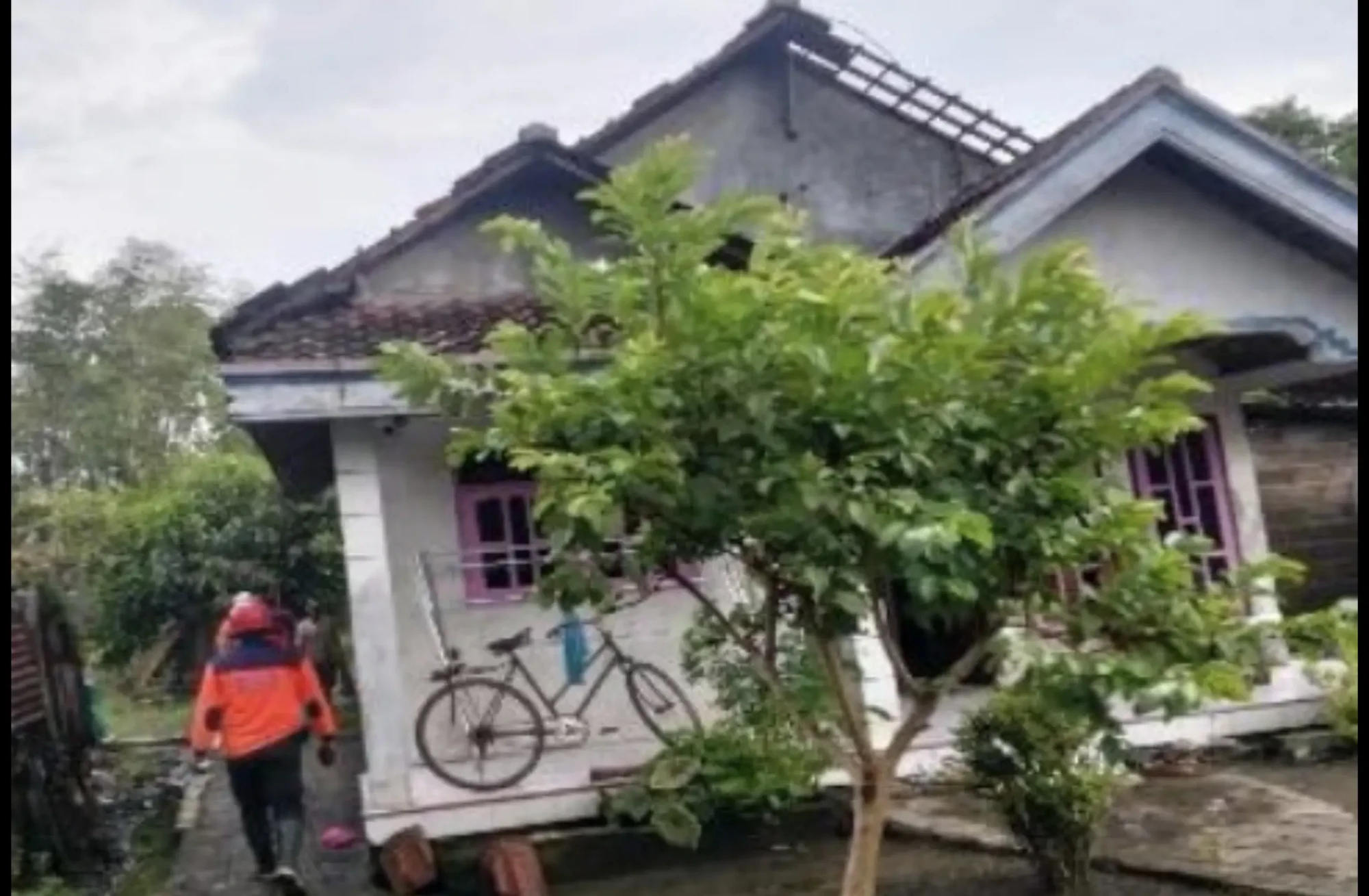 Screenshot_20260215_161606_com.whatsapp