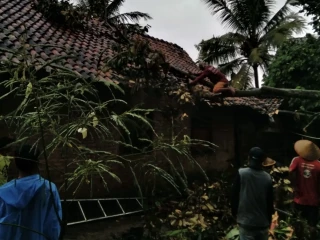 Screenshot_20260215_161904_com.whatsapp