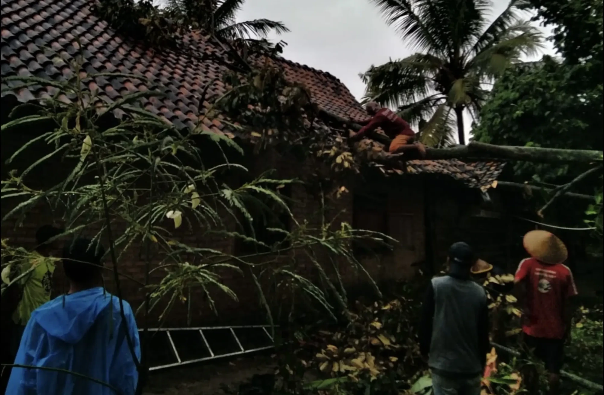 Screenshot_20260215_161904_com.whatsapp