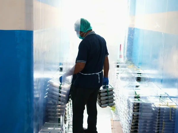 Kepala BGN Tekankan Pengelolaan Sampah MBG Wajib Berbasis Ekonomi Sirkular