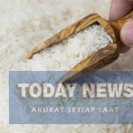 Beras-Premium-Apa-Itu-dan-Bagaimana-Cara-Mengenalinya