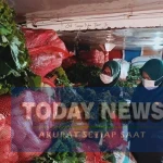 Gelar Operasi Patuh Karantina, Barantin Awasi Pergerakan Komoditas Pangan Selama Momentum Lebaran