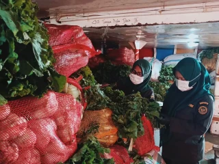 FB_IMG_1773471962051