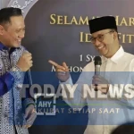 image-20230423155620