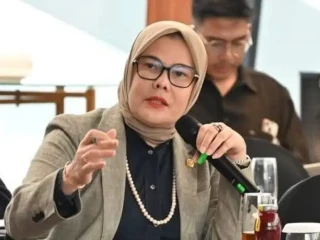 IMG-20250812-WA0079-768x511