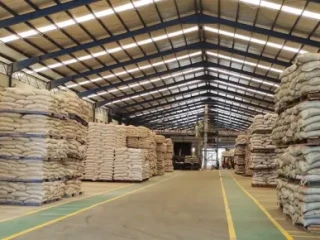 Harga Pakan Turun, Tingkatkan Efisiensi Biaya Produksi Peternak